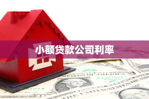 海东小额贷款公司利率