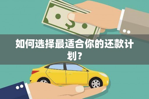 海东如何选择最适合你的还款计划？