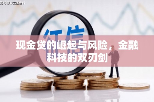 海东现金贷的崛起与风险，金融科技的双刃剑