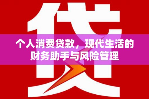 海东个人消费贷款，现代生活的财务助手与风险管理