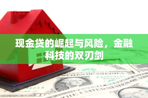 海东现金贷的崛起与风险，金融科技的双刃剑
