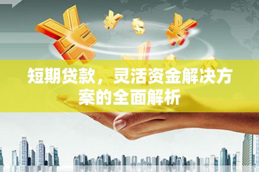 海东短期贷款，灵活资金解决方案的全面解析