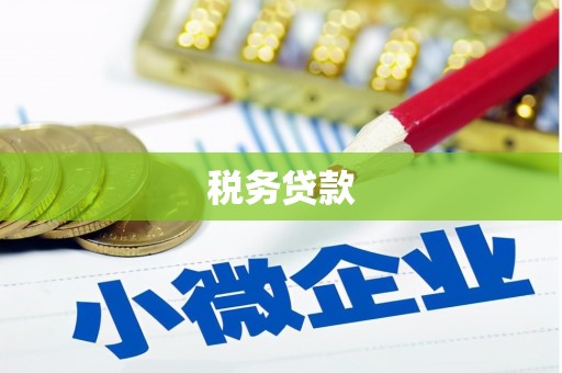 海东税务贷款