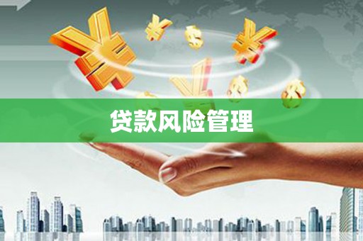 海东贷款风险管理