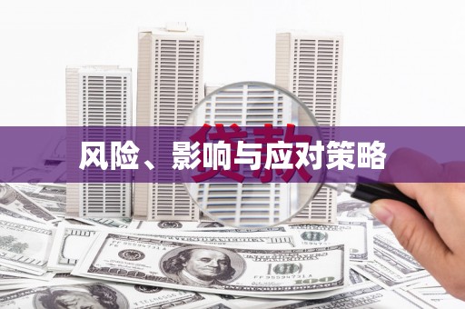 海东风险、影响与应对策略