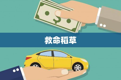 海东救命稻草