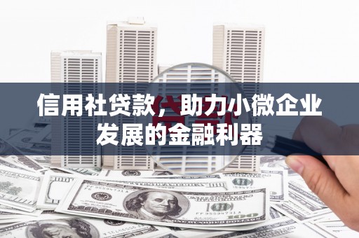 海东信用社贷款，助力小微企业发展的金融利器