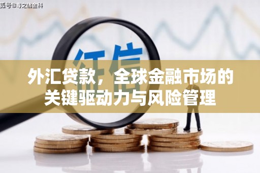 海东外汇贷款，全球金融市场的关键驱动力与风险管理