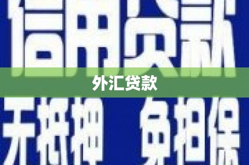 海东外汇贷款