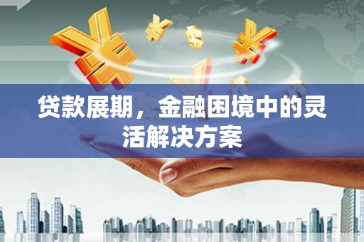 海东贷款展期，金融困境中的灵活解决方案