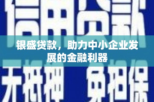 海东银盛贷款，助力中小企业发展的金融利器