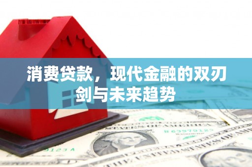 海东消费贷款，现代金融的双刃剑与未来趋势