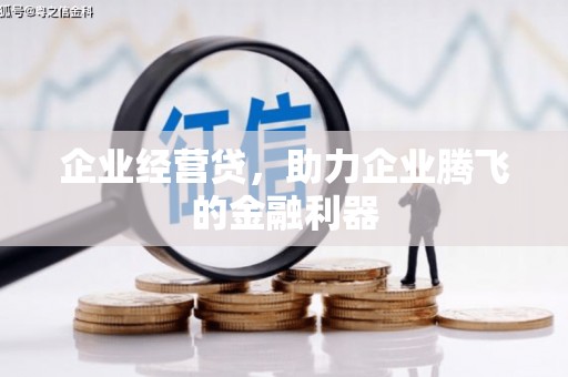 海东企业经营贷，助力企业腾飞的金融利器