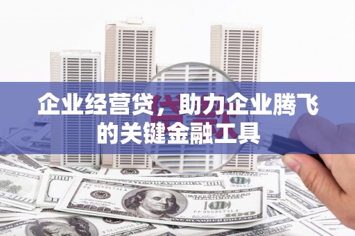 海东企业经营贷，助力企业腾飞的关键金融工具