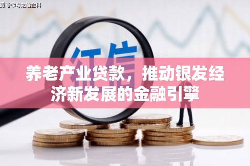 海东养老产业贷款，推动银发经济新发展的金融引擎