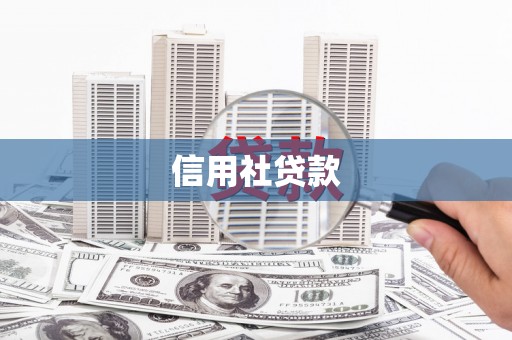 海东信用社贷款
