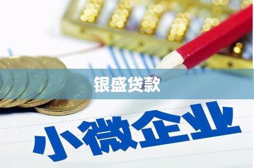 海东银盛贷款