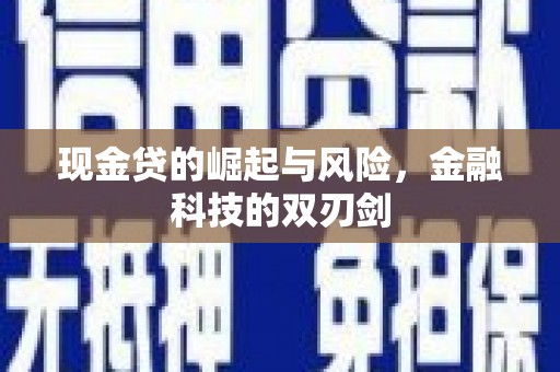 海东现金贷的崛起与风险，金融科技的双刃剑