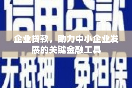 海东企业贷款，助力中小企业发展的关键金融工具