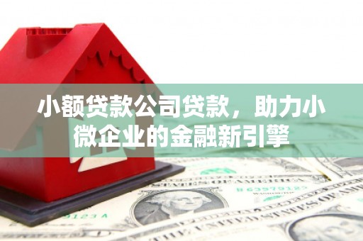 海东小额贷款公司贷款，助力小微企业的金融新引擎