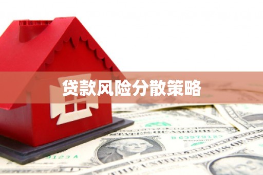 海东贷款风险分散策略