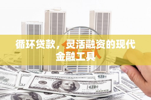 海东循环贷款，灵活融资的现代金融工具