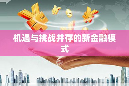 海东机遇与挑战并存的新金融模式