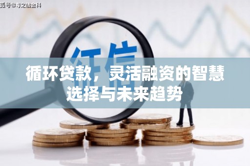 海东循环贷款，灵活融资的智慧选择与未来趋势