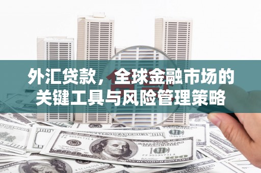 海东外汇贷款，全球金融市场的关键工具与风险管理策略