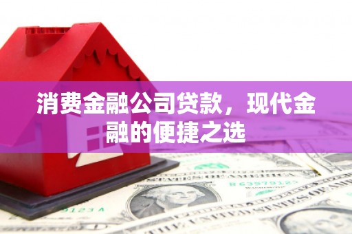 海东消费金融公司贷款，现代金融的便捷之选