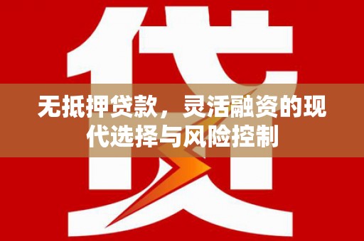 海东无抵押贷款，灵活融资的现代选择与风险控制