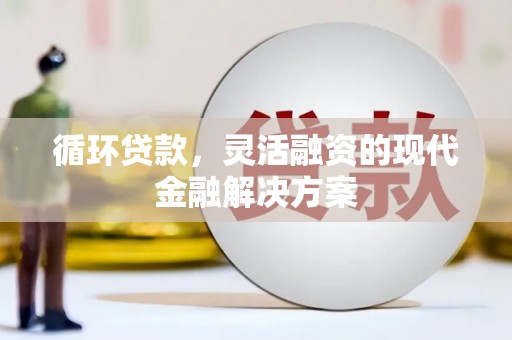 海东循环贷款，灵活融资的现代金融解决方案