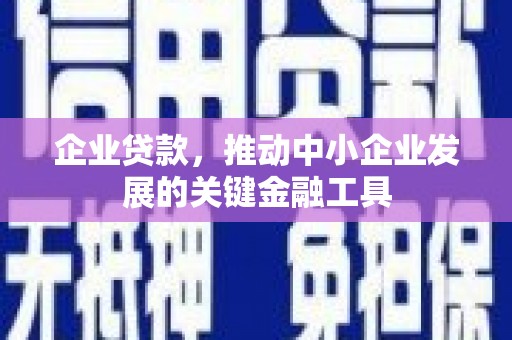 海东企业贷款，推动中小企业发展的关键金融工具