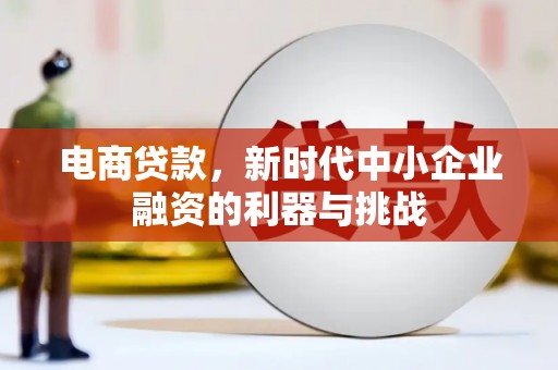 海东电商贷款，新时代中小企业融资的利器与挑战