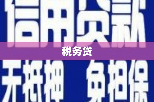 海东税务贷