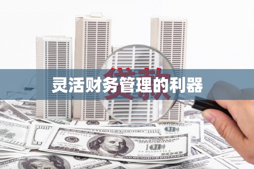 海东灵活财务管理的利器