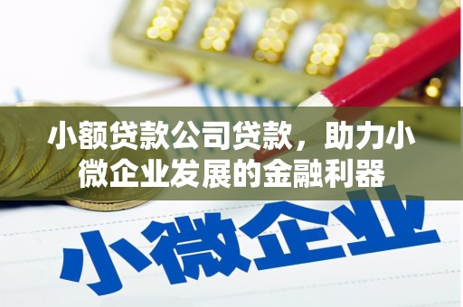 海东小额贷款公司贷款，助力小微企业发展的金融利器