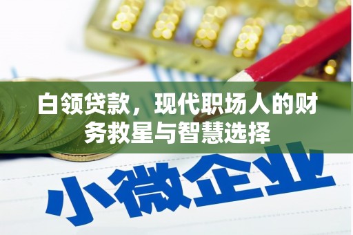海东白领贷款，现代职场人的财务救星与智慧选择