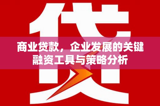 海东商业贷款，企业发展的关键融资工具与策略分析