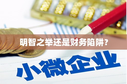 海东明智之举还是财务陷阱？