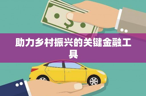 海东助力乡村振兴的关键金融工具