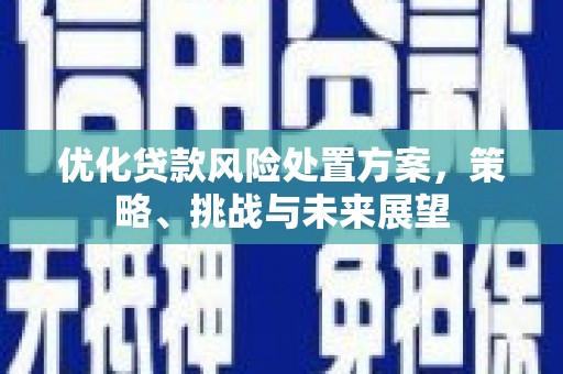 海东优化贷款风险处置方案，策略、挑战与未来展望