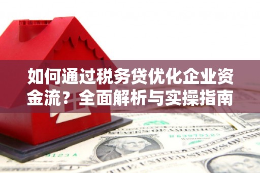 海东如何通过税务贷优化企业资金流？全面解析与实操指南