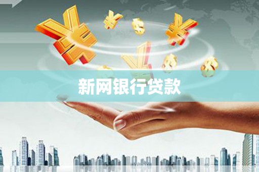 海东新网银行贷款