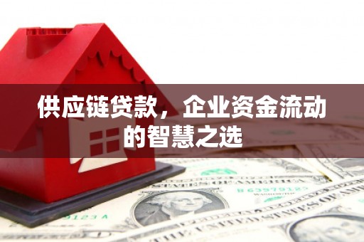 海东供应链贷款，企业资金流动的智慧之选