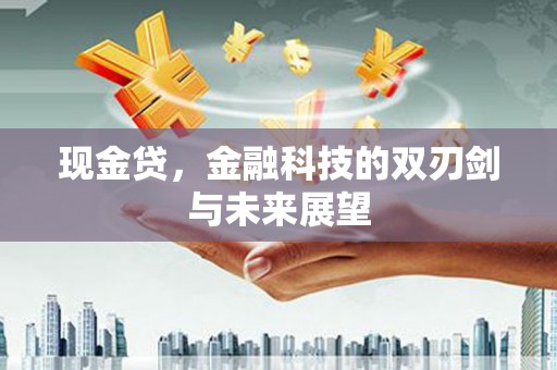 海东现金贷，金融科技的双刃剑与未来展望
