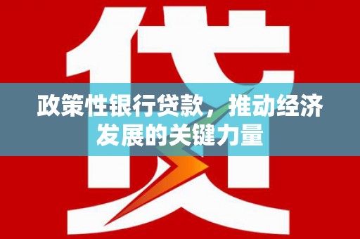 海东政策性银行贷款，推动经济发展的关键力量