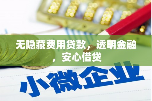 海东无隐藏费用贷款，透明金融，安心借贷