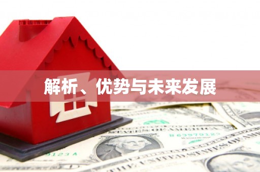 海东解析、优势与未来发展