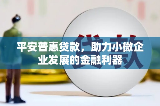 海东平安普惠贷款，助力小微企业发展的金融利器